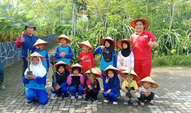 Outing Class Anak-Anak Tonjong Sangkanurip di Eduwisata Kebun Naga Kuningan : Edukasi Menanam dan Permainan Seru