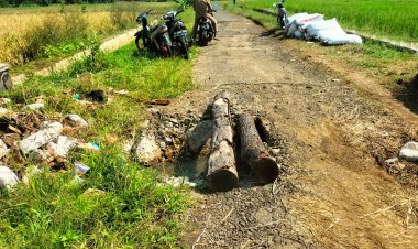 JEMBATAN RUSAK DI BENDUNGAN–LANGSEB, WARGA PASANG KAYU DARURAT