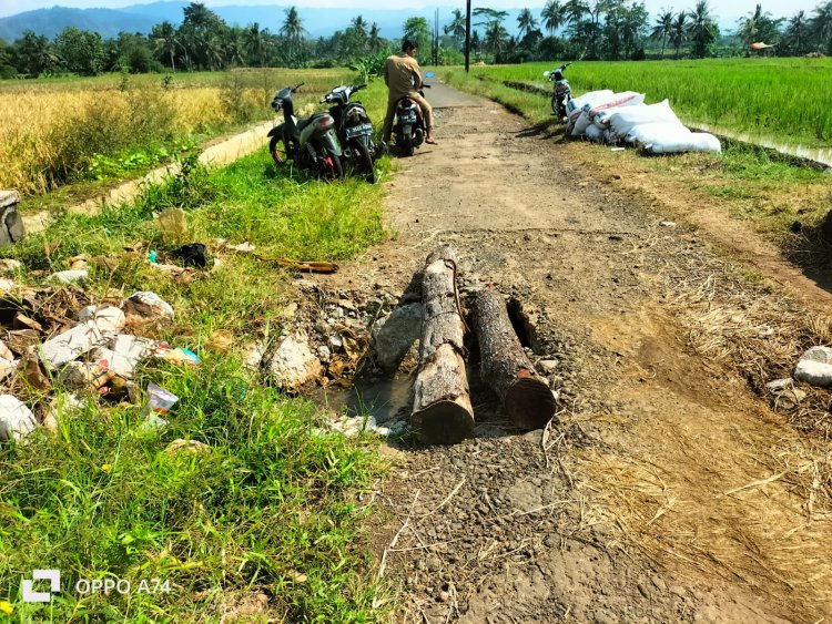 JEMBATAN RUSAK DI BENDUNGAN–LANGSEB, WARGA PASANG KAYU DARURAT